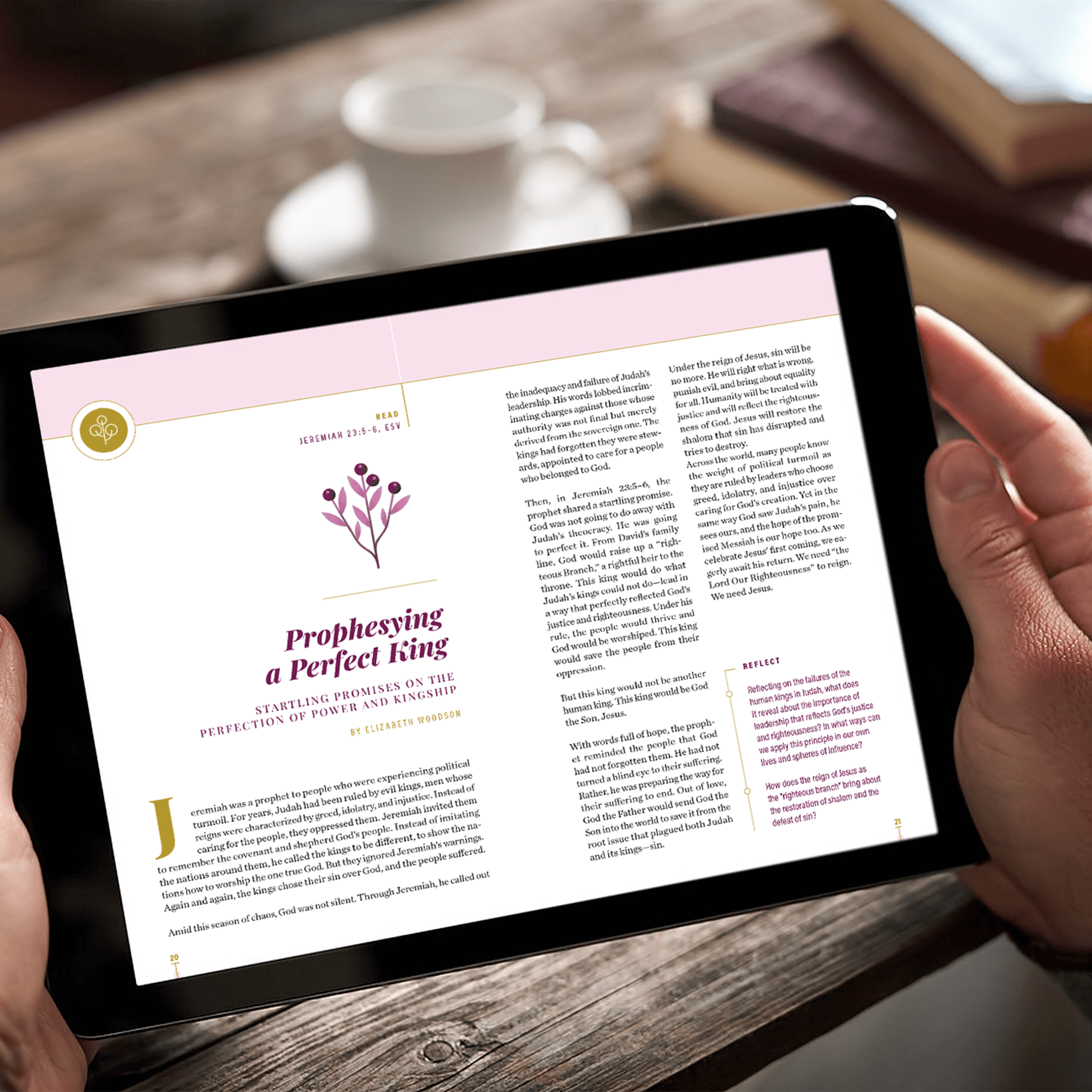 Advent 2023: 4-Week Devotional Guide (Digital Distribution)