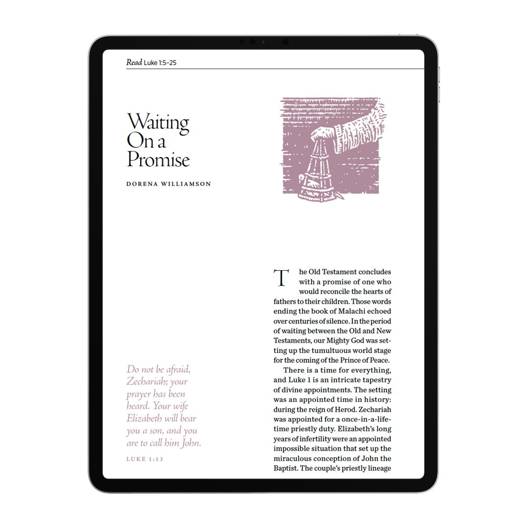 Advent 2022: 4-Week Devotional Guide (Digital Distribution)