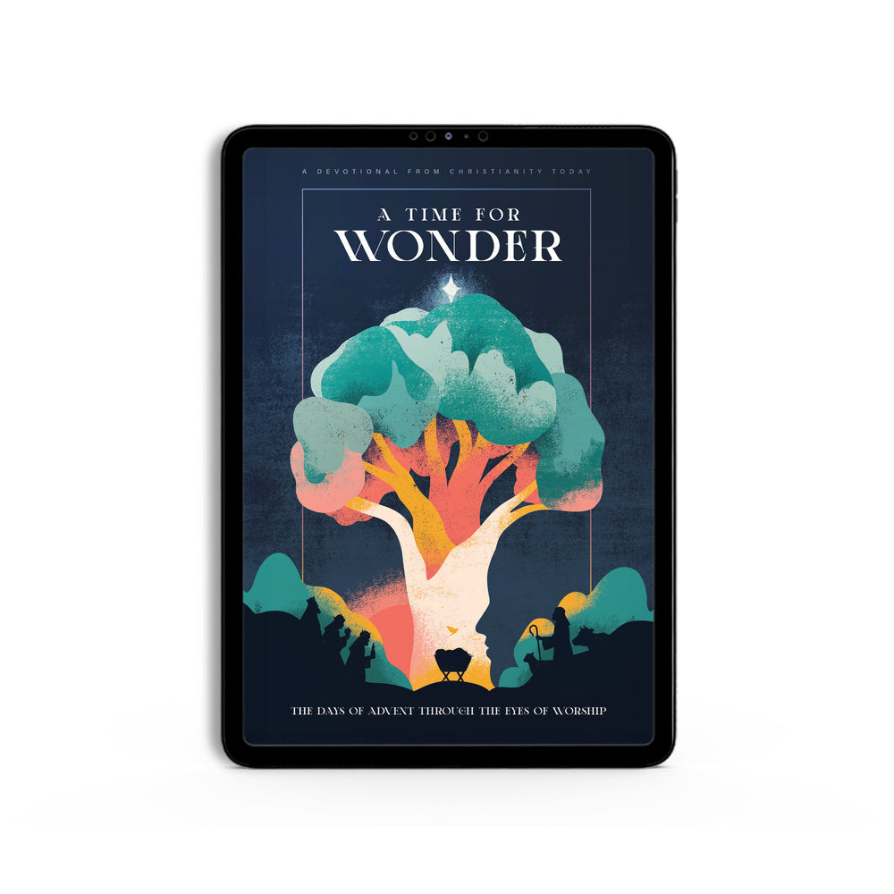 advent-a-time-for-wonder