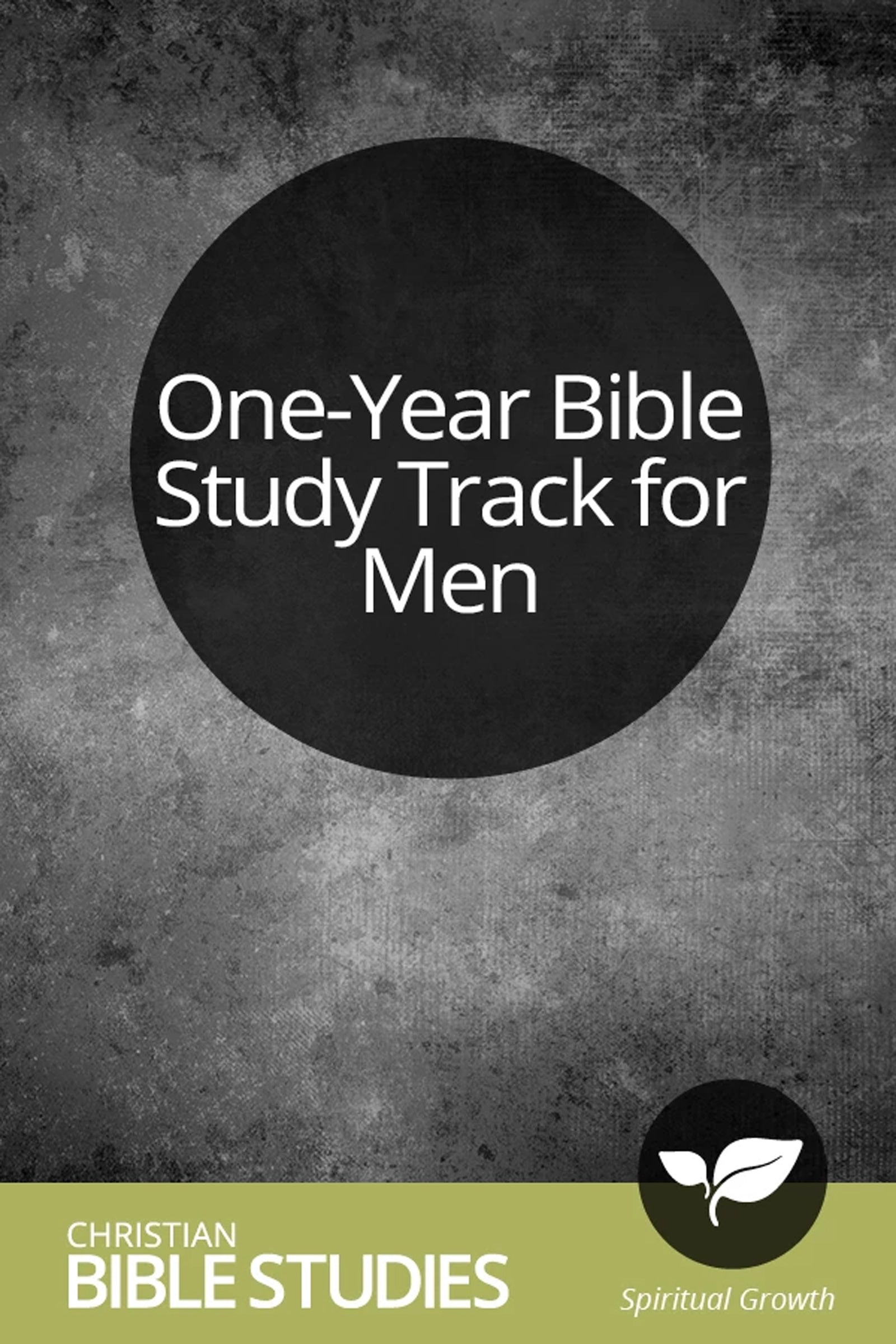 One-Year Bible Study Track for Men