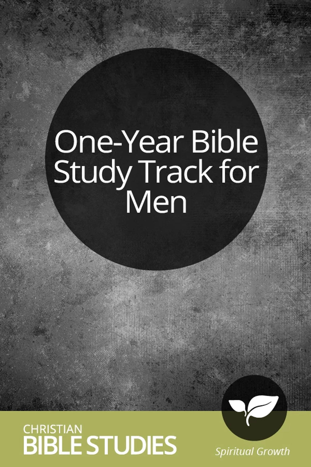 One Year Bible Study Track For Men